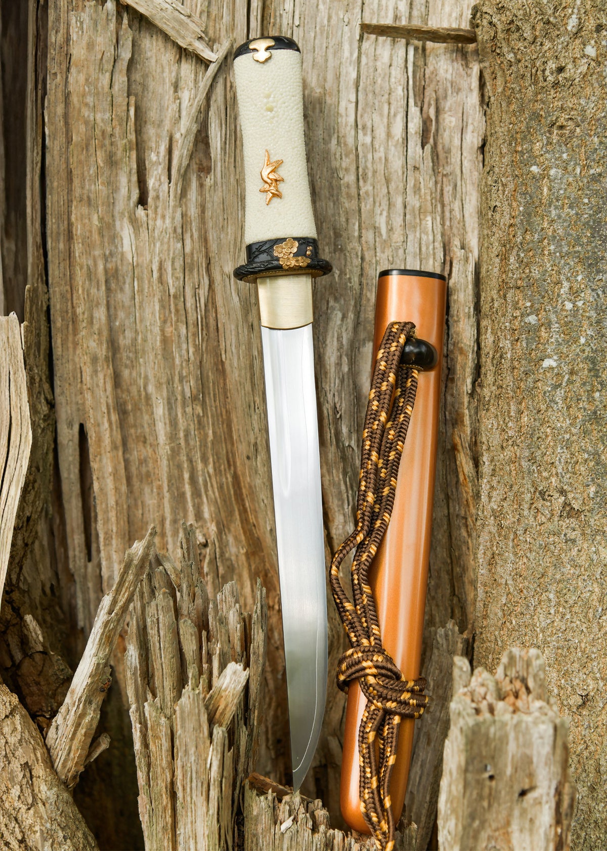 Tanto Baika Flor Ciruelo Dragon King