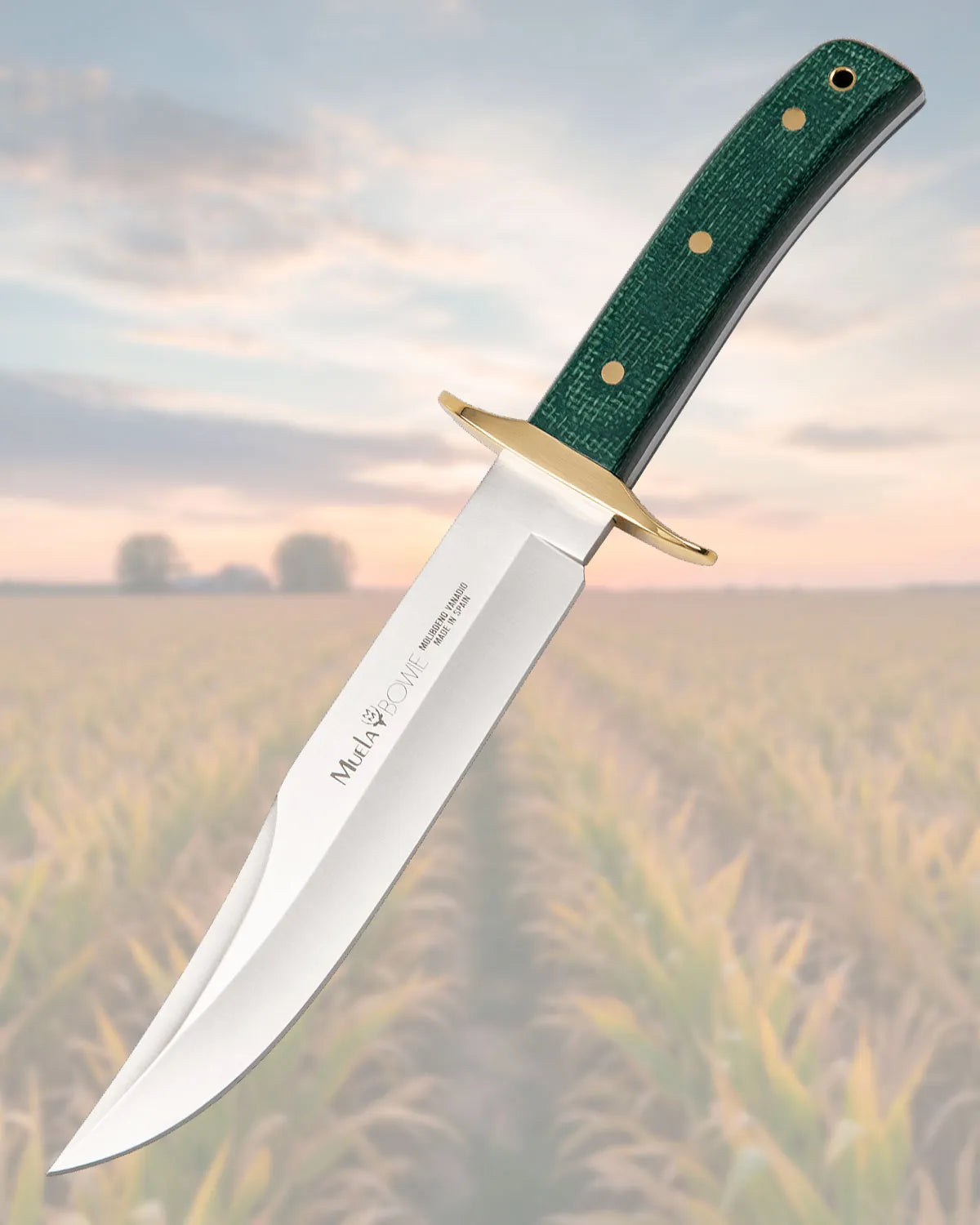 Cuchillo Muela cachas micarta yute verde y defensa latón_IA